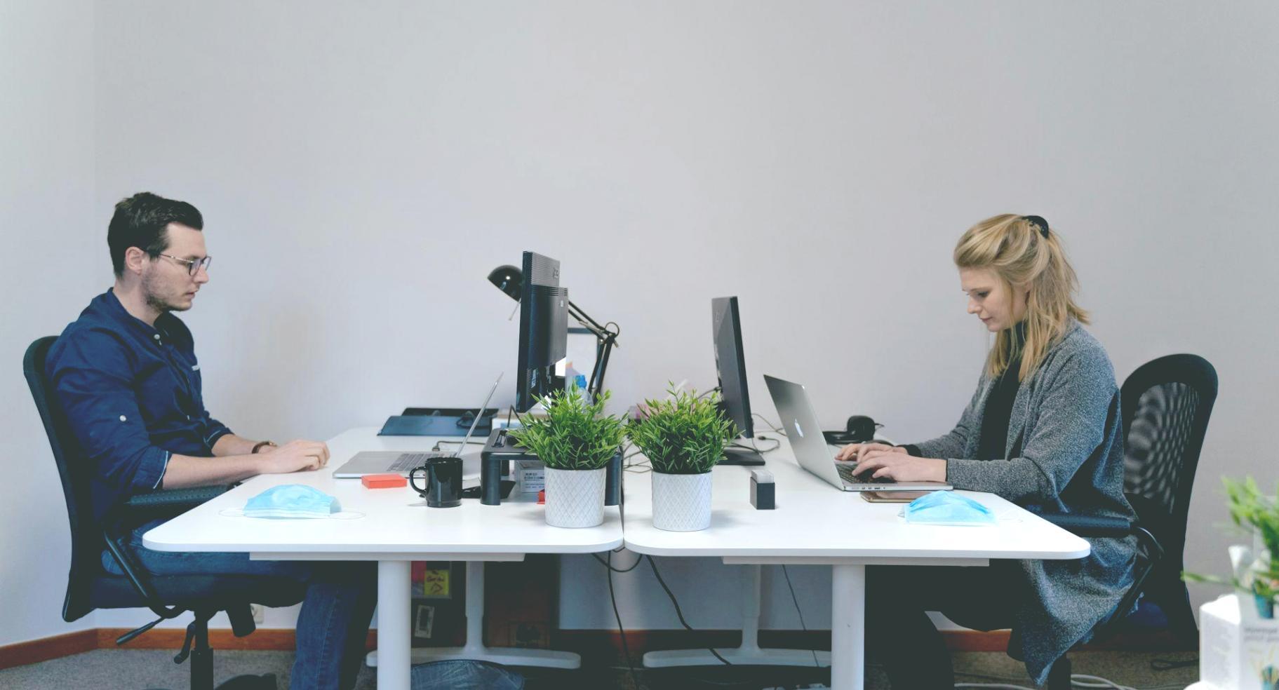 Nachhaltige Investitionsanalyse Tool